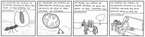 Tracci&oacute;n animal